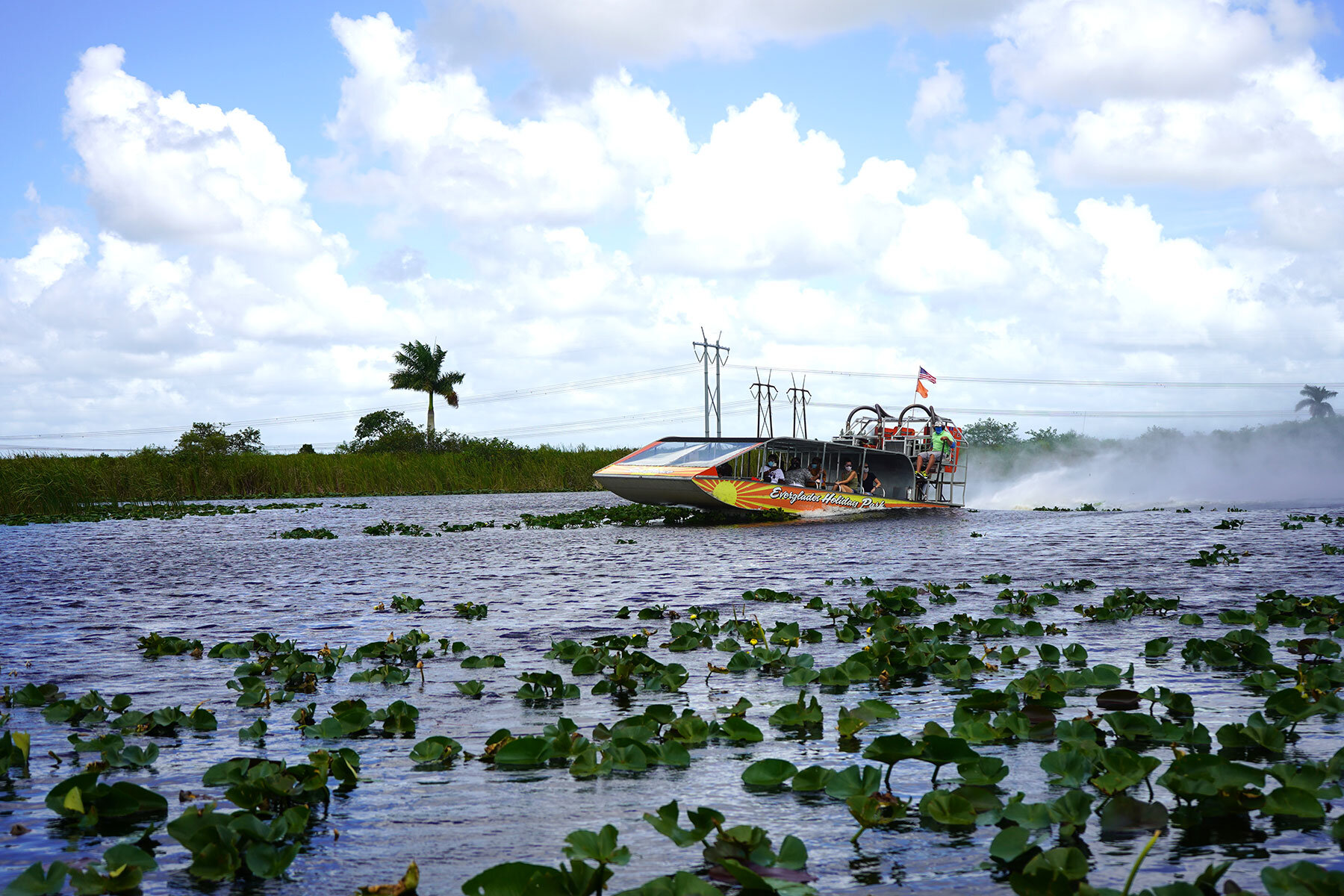 airboat tours alligator alley