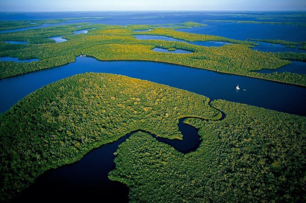aerial view of the river of grass during a day trip to the everglades from Miami