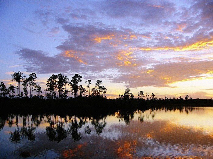 Everglades Fun Facts | Everglades Holiday Park